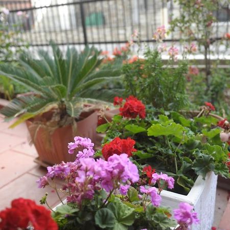 Sea View Apartments Artemis 렙토카리아 외부 사진